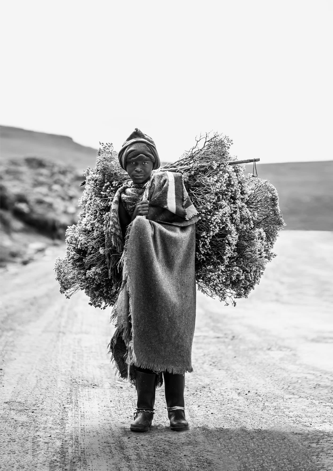 A Shepherd's Chore