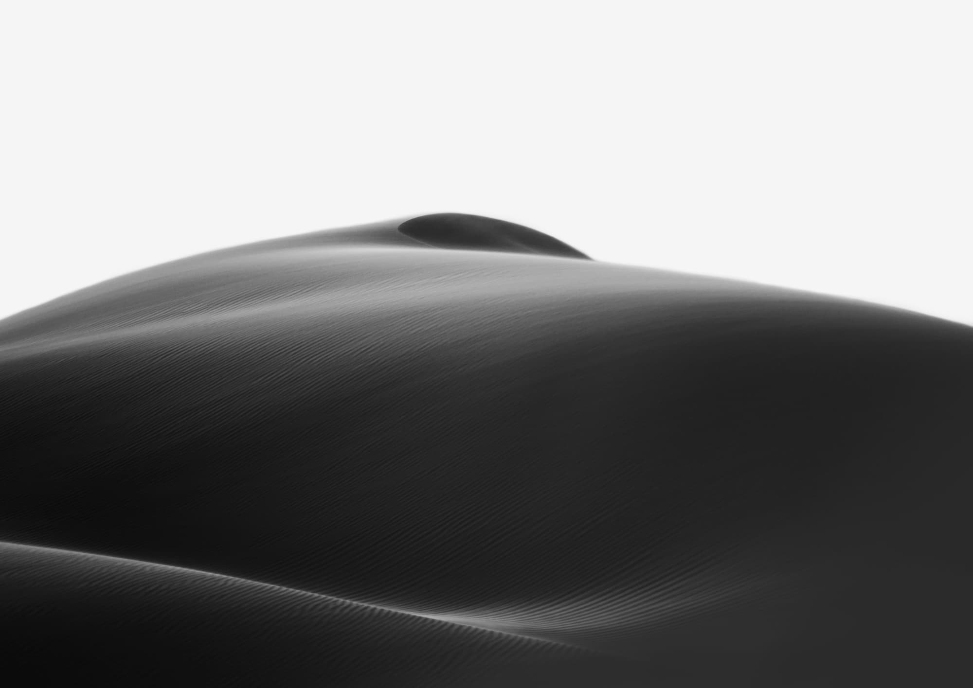 Desert Wave